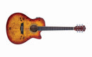 Washburn DFBACEA Deep Forest Burl Grand Auditorium Acoustic-Electric Guitar - Amber Fade