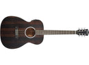 Washburn Deep Forest Folk Acoustic / Electric Guitar - Striped Ebony