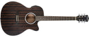Washburn DFEACE Deep Forest Auditorium Acoustic-Electric Guitar - Striped Ebony