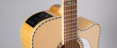 Takamine GD74CE-12U  12-String Acoustic-Electric Guitar - Gloss Natural