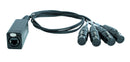Digiflex LDMX5-CAT-IN 4 Universe 5 Pin DMX over Cat5